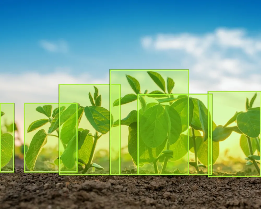 Agriculture
